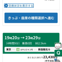 テイクオフ！えっ！？着陸出来ない！？