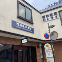 横池睡蓮の花満開