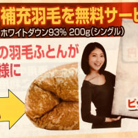 綿の打ち直しと羽毛布団リフレッシュのご案内
