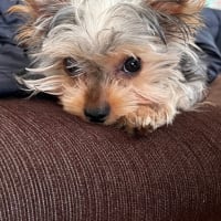 　小吉の1日