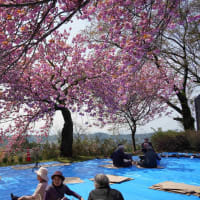 「沖見お花見会」がありました。