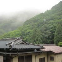 雨の大山　と　神奈リハ
