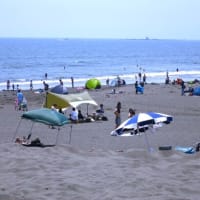 辻堂海浜公園散策