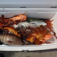 釣り船