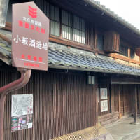 百春（小坂酒造場）、そして「路地裏の真実」・・・・・美濃 at twilight （Ⅲ）