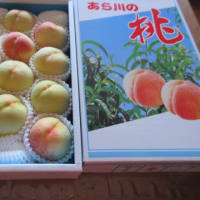 あら川の桃　今年も届きました
