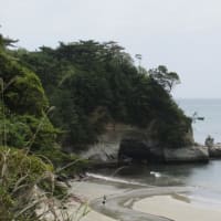 蠶養神社（茨城県日立市）