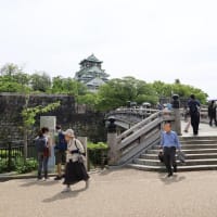 山崎幼稚園に咲く桐の花～大阪城公園の咲いている桐の花　－------ともちゃんからの投稿