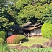 【日々の出来事】上野 国立博物館/無料開放日