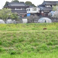 痛恨の極み