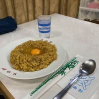 瀬戸内シーカヤック日記：　二泊三日で久々に訪れる奈良の寺社巡りとプチ大阪を堪能旅_法隆寺、矢田寺、東大寺、興福寺、大神神社、大和神社、つじ平