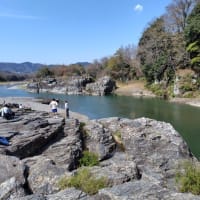 今度は本当に〝桜紀行〟の最終編ですからね！