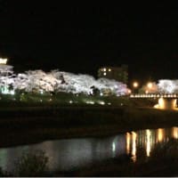 『入学式～』
