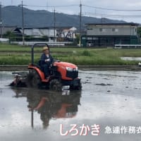 近況報告2025.6.3雨