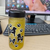 サトラオリジナルポロシャツ！