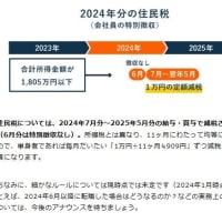 2024年度（令和6年度）の税制改正大綱で、4万円の定額減税