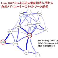 新型コロナウイルス感染症COVID-19：最新エビデンスの紹介（5月4日）性差の機序と持続感染