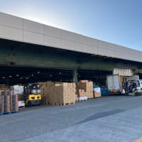中央卸売市場に行ってきたﾘﾘ～