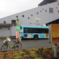 11月30日　本日は矢川駅北口において朝の市政報告を行いました