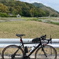 遅めのスタートで