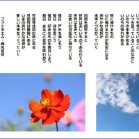 爽やかな選択