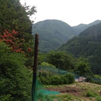 令和7年6月12日・今朝の東祖谷18℃（17.1℃）