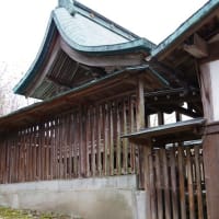 愛媛県東温市、北方「揚（あがり）神社のクスノキ」（市指定）です！！