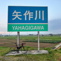 朝の散歩