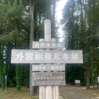 年休2日目