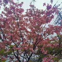 落ち着いてます