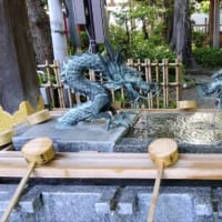 緑あふれる大國魂神社