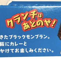 みんな大好き❤️アイス「ブラックモンブラン」がカレーになった、、