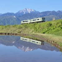 １０日は早朝の小海線小淵沢大カーブへ！