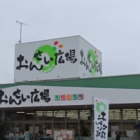 Gifu / Shopping