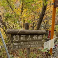 大井川　静岡県　2024年11月16日