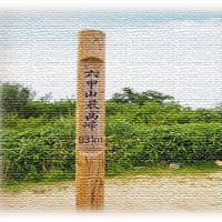 六甲山・越年キャンプは終活遊歩になる？