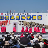 加須市民平和祭 2024｢ジャンボ鯉のぼり」