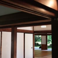 【京都幕間旅情】西来院,躑躅が美しい季節に拝観へ歩み進めた再興なった寺院庭園