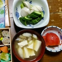 7/11  ばんごはん　崎陽軒のお弁当　夏
