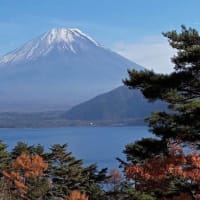 紅葉回廊と富士五湖