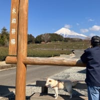 富士山を見に行って来た。