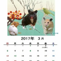 ３月のカレンダー作りました(^_^;
