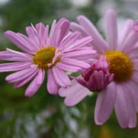 平和を愛するものに