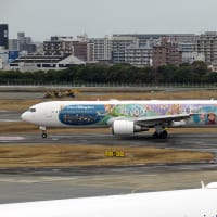 最近見た航空機　　福岡空港
