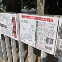 ☆金曜定例　官邸前スタンディング　報告　