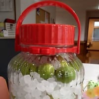 線状降水帯と梅シロップ