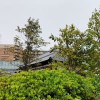 5月の思い出②