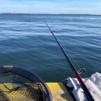 シリヤケ釣り　4週連続