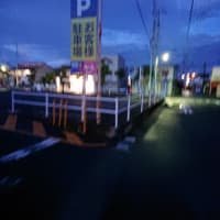 明日から　掛けです。