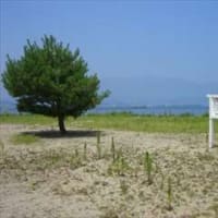 季節折々の花を訪ねて in 滋賀県守山市